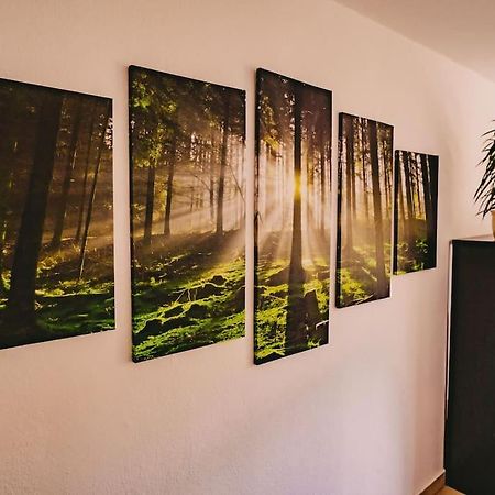 Franzis Feriendomizil Im Herzgebirge Am Skihang Auerbach  외부 사진